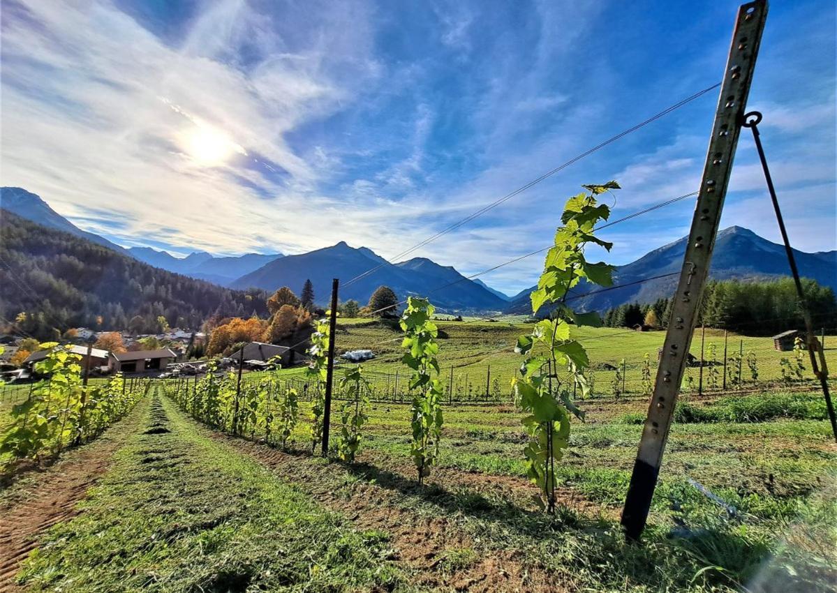 Der Trueferhof Apartman Ehrwald Kültér fotó